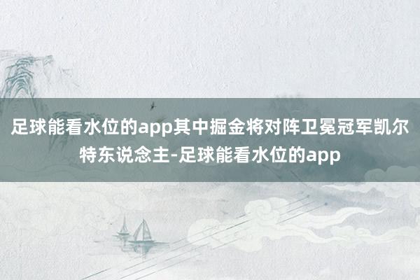 足球能看水位的app其中掘金将对阵卫冕冠军凯尔特东说念主-足球能看水位的app