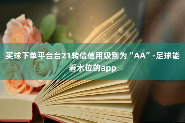 买球下单平台台21转债信用级别为“AA”-足球能看水位的app