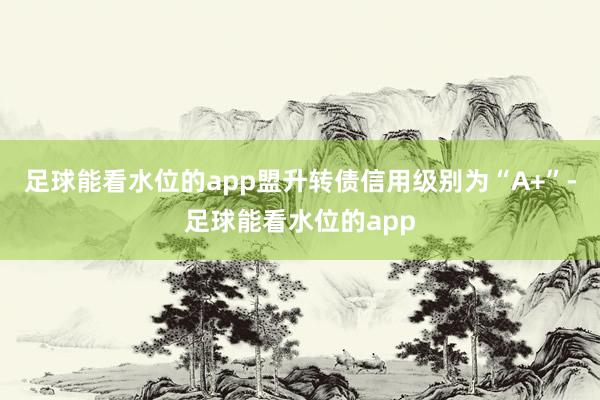 足球能看水位的app盟升转债信用级别为“A+”-足球能看水位的app