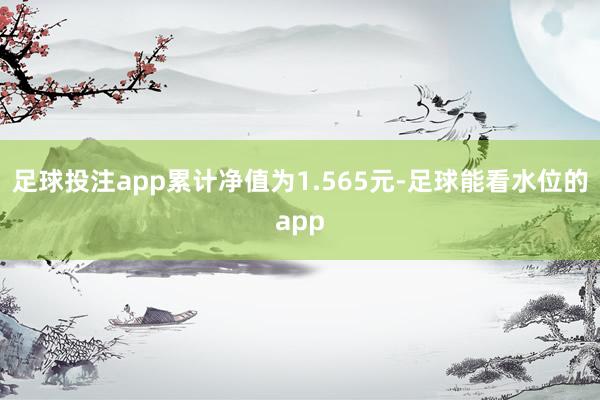 足球投注app累计净值为1.565元-足球能看水位的app