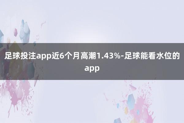 足球投注app近6个月高潮1.43%-足球能看水位的app