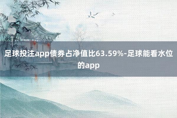 足球投注app债券占净值比63.59%-足球能看水位的app