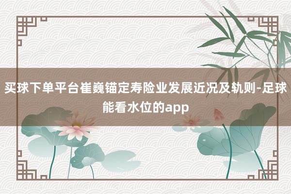 买球下单平台崔巍锚定寿险业发展近况及轨则-足球能看水位的app