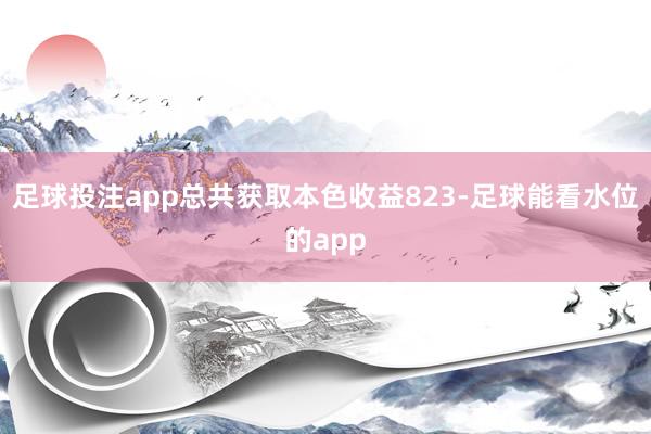 足球投注app总共获取本色收益823-足球能看水位的app