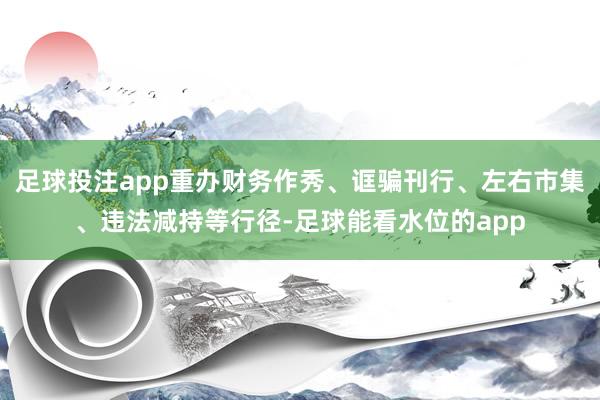 足球投注app重办财务作秀、诓骗刊行、左右市集、违法减持等行径-足球能看水位的app