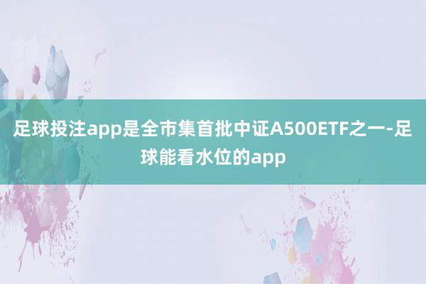 足球投注app是全市集首批中证A500ETF之一-足球能看水位的app
