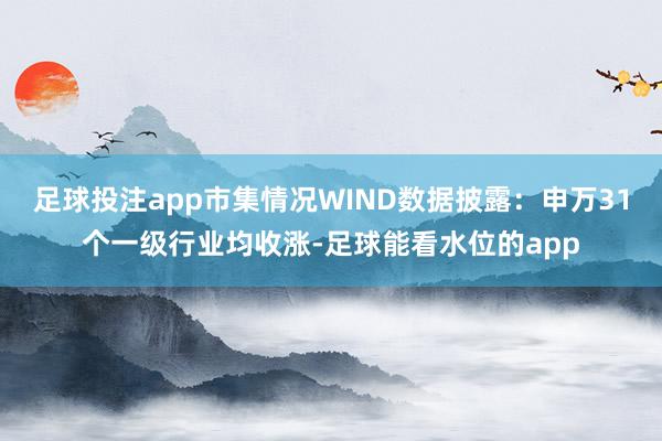 足球投注app市集情况WIND数据披露：申万31个一级行业均收涨-足球能看水位的app