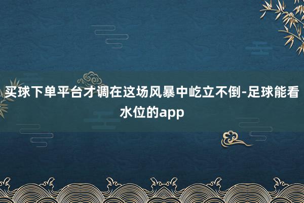 买球下单平台才调在这场风暴中屹立不倒-足球能看水位的app