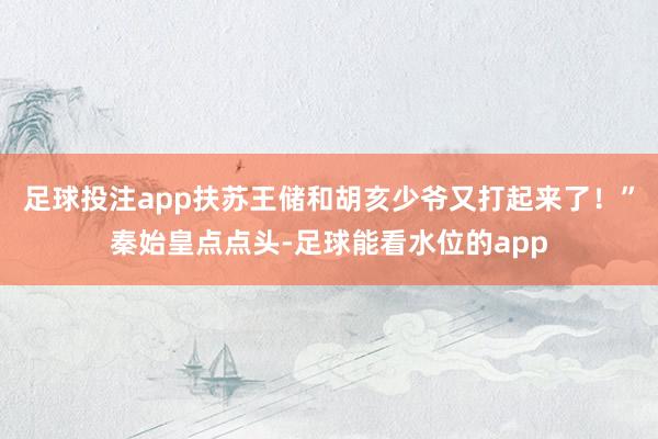 足球投注app扶苏王储和胡亥少爷又打起来了！”秦始皇点点头-足球能看水位的app