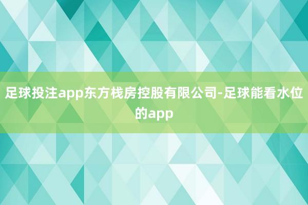 足球投注app东方栈房控股有限公司-足球能看水位的app