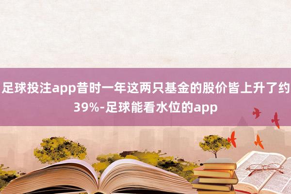 足球投注app昔时一年这两只基金的股价皆上升了约39%-足球能看水位的app