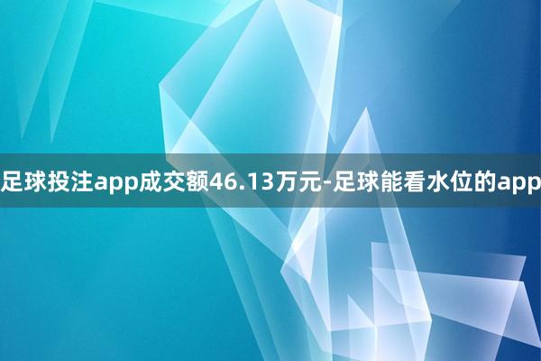 足球投注app成交额46.13万元-足球能看水位的app