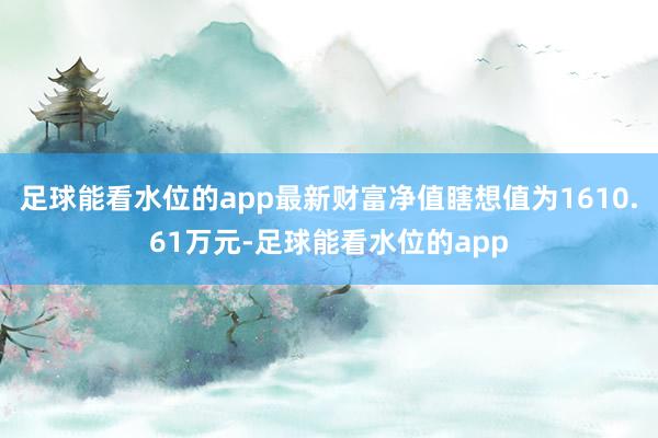 足球能看水位的app最新财富净值瞎想值为1610.61万元-足球能看水位的app