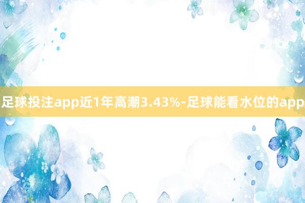 足球投注app近1年高潮3.43%-足球能看水位的app