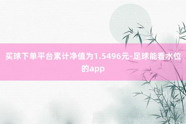买球下单平台累计净值为1.5496元-足球能看水位的app