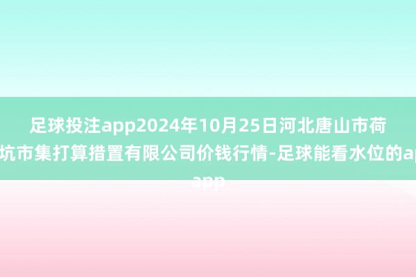 足球投注app2024年10月25日河北唐山市荷花坑市集打算措置有限公司价钱行情-足球能看水位的app