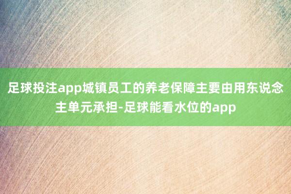 足球投注app城镇员工的养老保障主要由用东说念主单元承担-足球能看水位的app