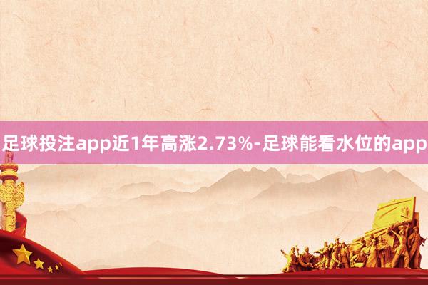 足球投注app近1年高涨2.73%-足球能看水位的app