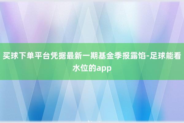 买球下单平台凭据最新一期基金季报露馅-足球能看水位的app