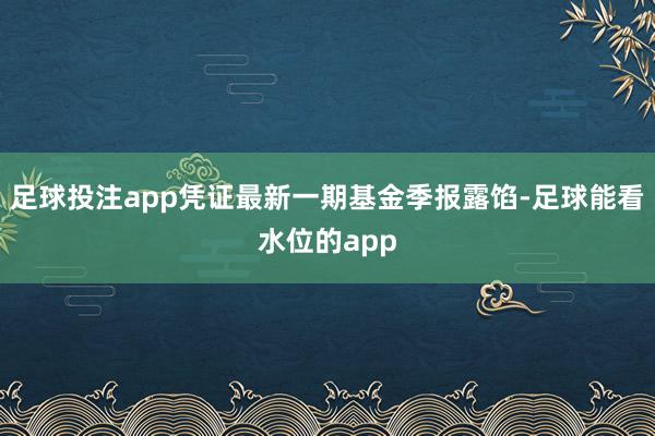 足球投注app凭证最新一期基金季报露馅-足球能看水位的app