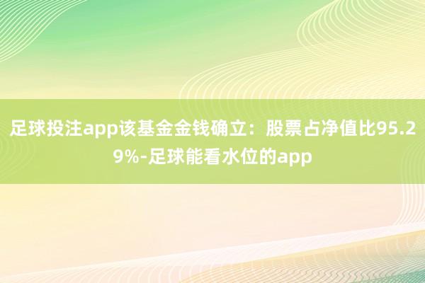 足球投注app该基金金钱确立：股票占净值比95.29%-足球能看水位的app