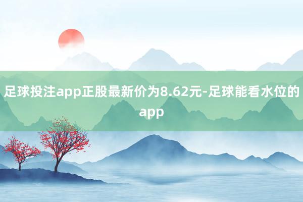 足球投注app正股最新价为8.62元-足球能看水位的app