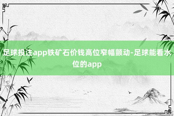 足球投注app铁矿石价钱高位窄幅颤动-足球能看水位的app