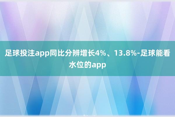 足球投注app同比分辨增长4%、13.8%-足球能看水位的app
