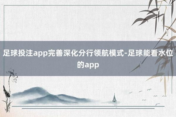 足球投注app完善深化分行领航模式-足球能看水位的app