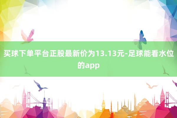 买球下单平台正股最新价为13.13元-足球能看水位的app