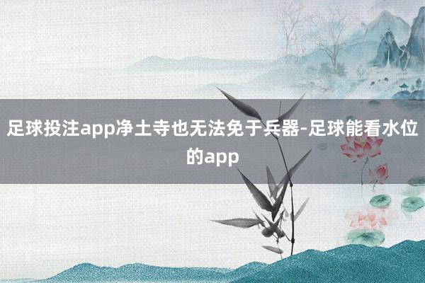 足球投注app净土寺也无法免于兵器-足球能看水位的app