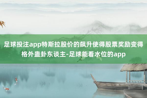 足球投注app特斯拉股价的飙升使得股票奖励变得格外蛊卦东谈主-足球能看水位的app