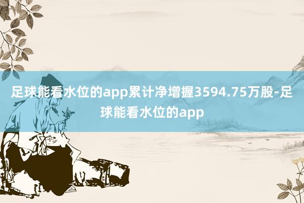 足球能看水位的app累计净增握3594.75万股-足球能看水位的app
