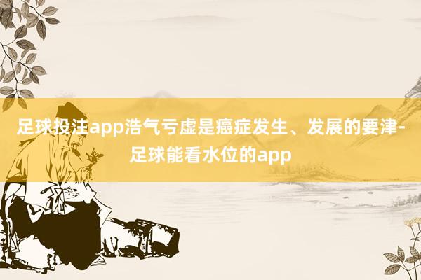 足球投注app浩气亏虚是癌症发生、发展的要津-足球能看水位的app