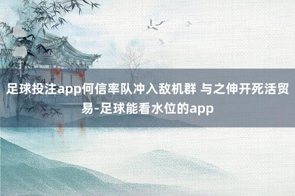 足球投注app何信率队冲入敌机群 与之伸开死活贸易-足球能看水位的app