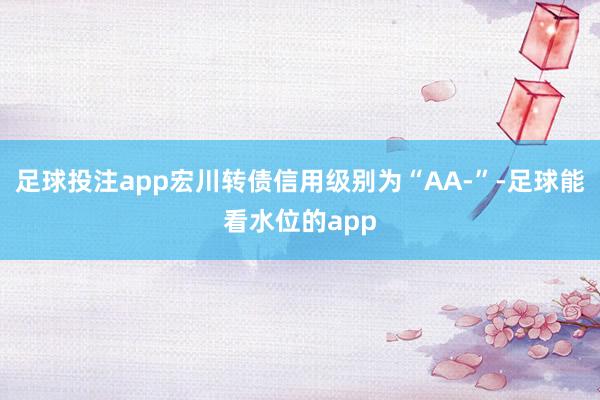 足球投注app宏川转债信用级别为“AA-”-足球能看水位的app