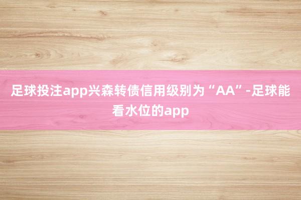 足球投注app兴森转债信用级别为“AA”-足球能看水位的app