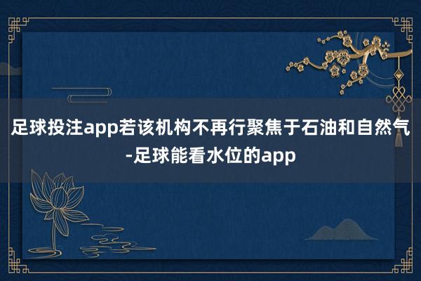 足球投注app若该机构不再行聚焦于石油和自然气-足球能看水位的app