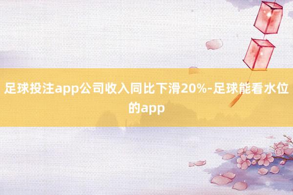 足球投注app公司收入同比下滑20%-足球能看水位的app