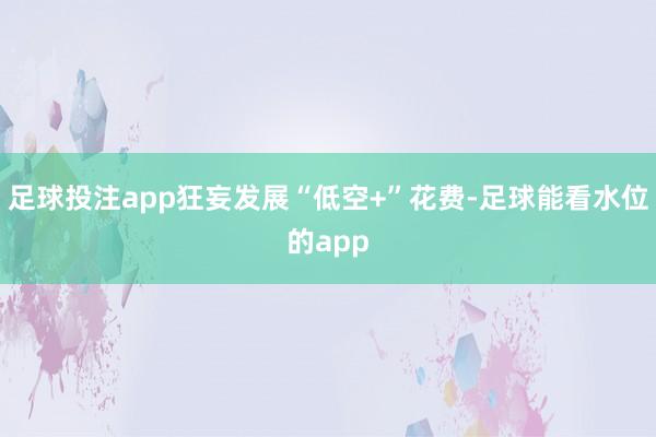 足球投注app狂妄发展“低空+”花费-足球能看水位的app