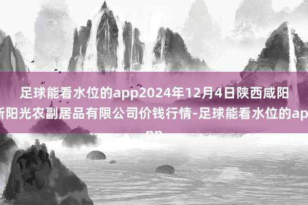 足球能看水位的app2024年12月4日陕西咸阳新阳光农副居品有限公司价钱行情-足球能看水位的app