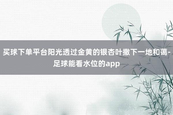 买球下单平台阳光透过金黄的银杏叶撒下一地和蔼-足球能看水位的app