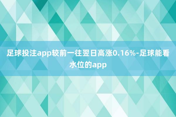 足球投注app较前一往翌日高涨0.16%-足球能看水位的app