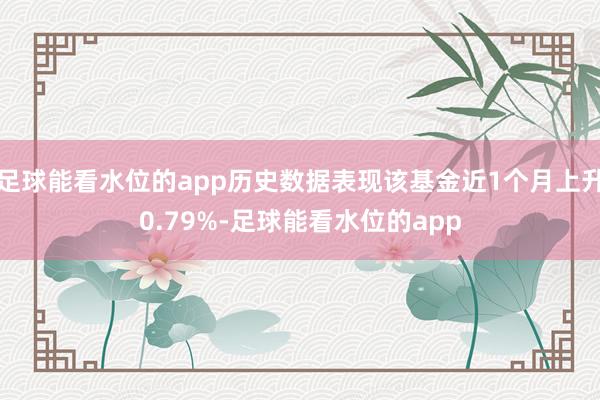 足球能看水位的app历史数据表现该基金近1个月上升0.79%-足球能看水位的app