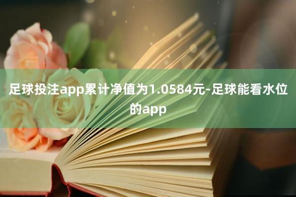 足球投注app累计净值为1.0584元-足球能看水位的app