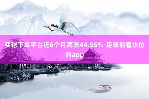 买球下单平台近6个月高涨44.55%-足球能看水位的app
