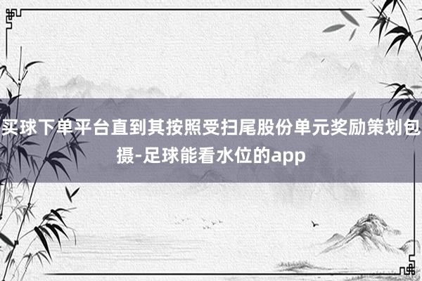 买球下单平台直到其按照受扫尾股份单元奖励策划包摄-足球能看水位的app