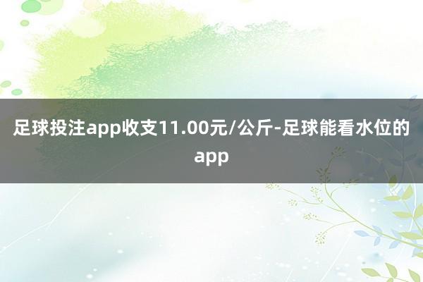 足球投注app收支11.00元/公斤-足球能看水位的app