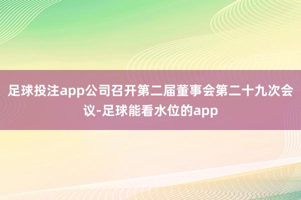 足球投注app公司召开第二届董事会第二十九次会议-足球能看水位的app
