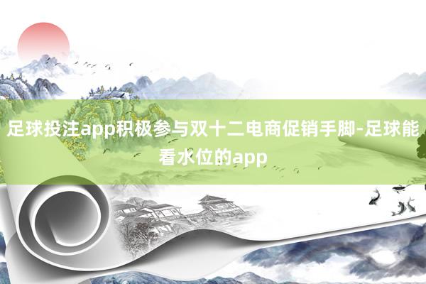 足球投注app积极参与双十二电商促销手脚-足球能看水位的app